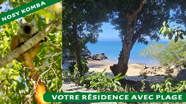 Maki et plage de Nosy Komba avec vue sur la mer turquoise