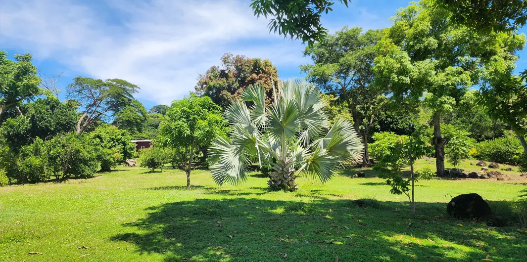 Parc tropical arboré au cœur de la Résidence Marotia à Nosy Be