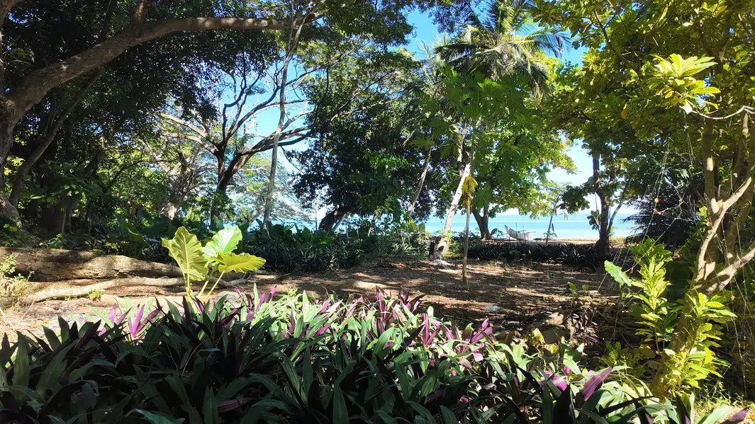 Grand terrain tropical de 34 534 m² à Ampasindava avec végétation naturelle