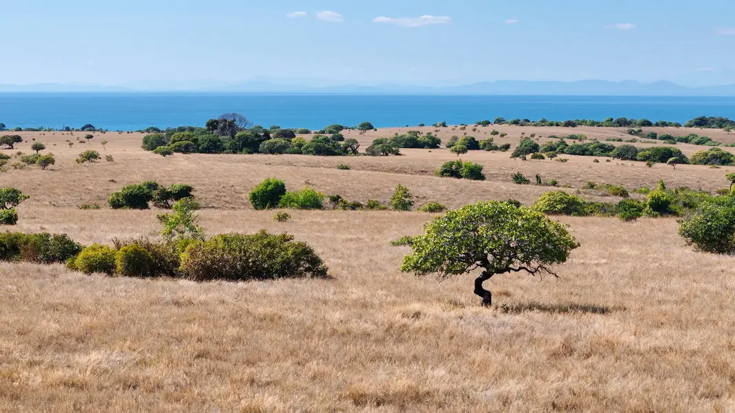 Vue mer dégagée depuis les hauteurs du terrain de 101 hectares à Nosy Faly