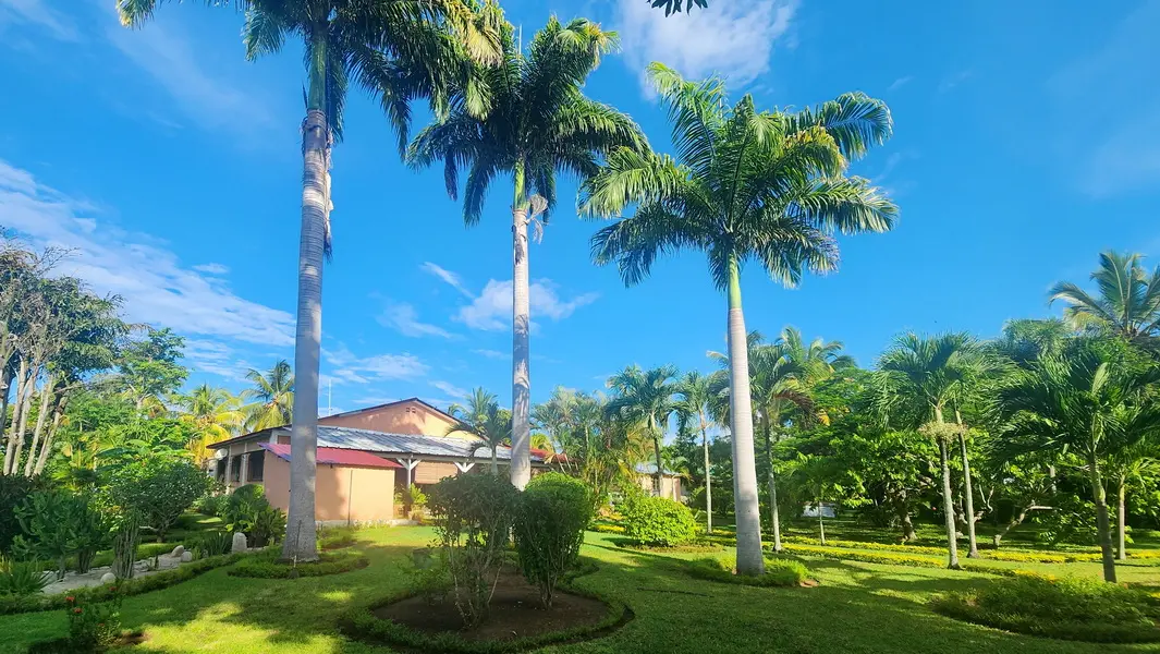 Jardin tropical avec palmiers royaux à Ankibonivato Nosy Be