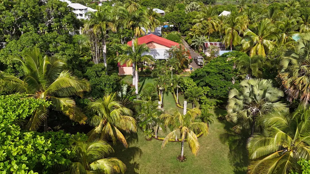 Jardin tropical du domaine à Ankibonivato Nosy Be